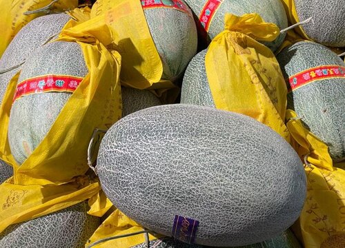 哈密瓜可以冷冻保存吗
